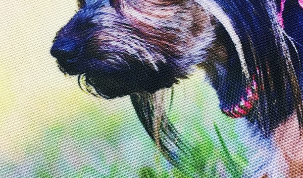 ��ȭ Ư���� ������ �Ϻ��� ����