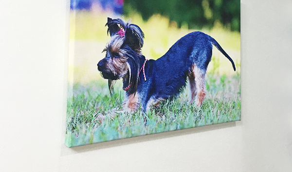 ��������(Gallery Wrap) ���